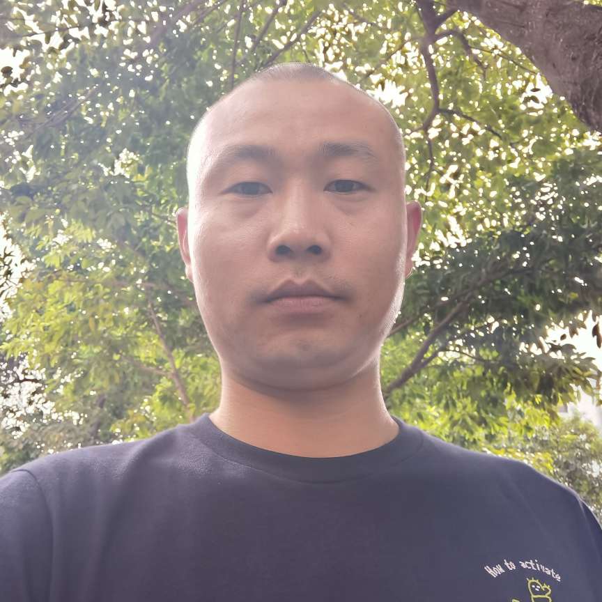 花瓣等于活力的照片