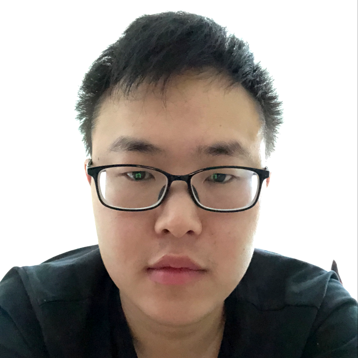 欣慰的仙人掌的照片