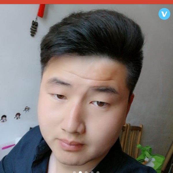 笨笨闻发夹的照片