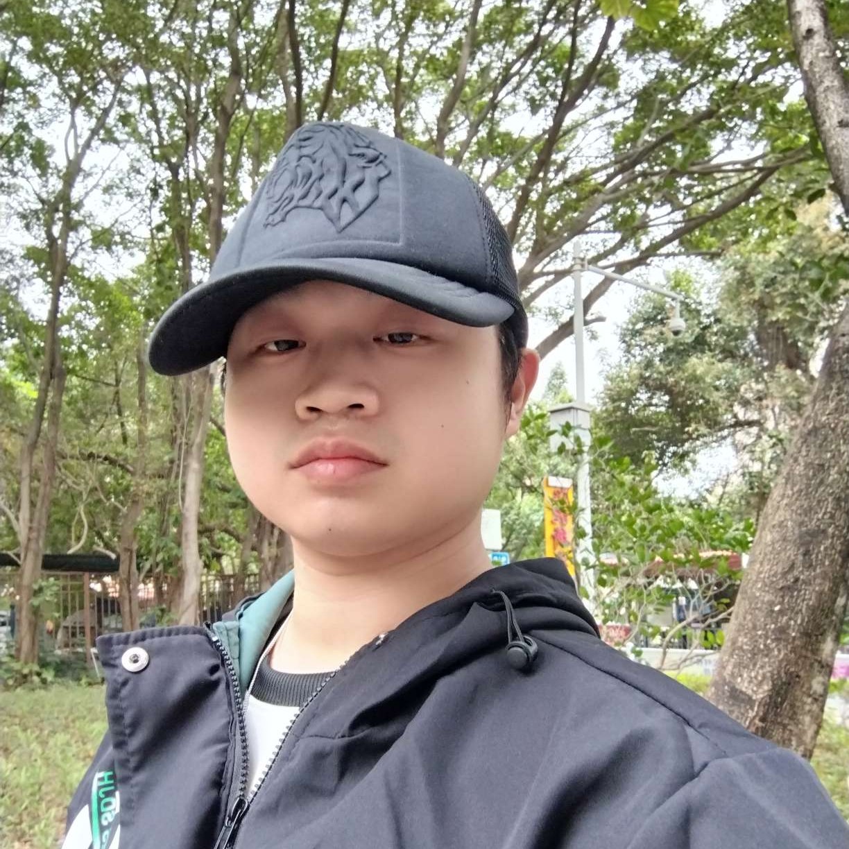 怕黑多么长颈鹿的照片