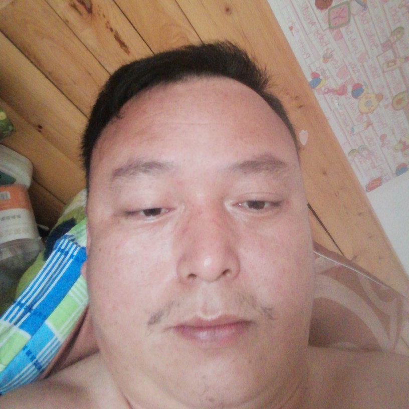 蓝莓灵巧的照片