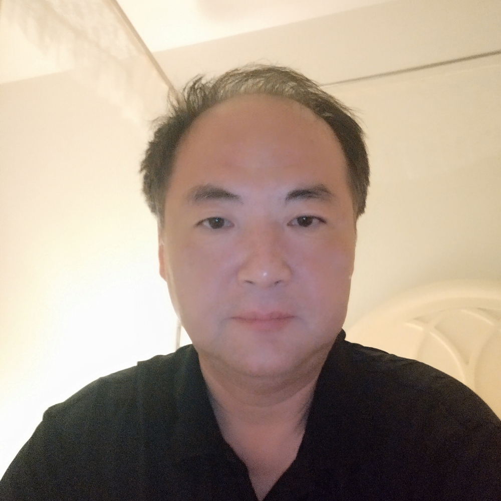 平凡的狗的照片