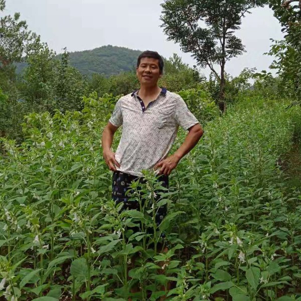 昏睡泪了过客的照片