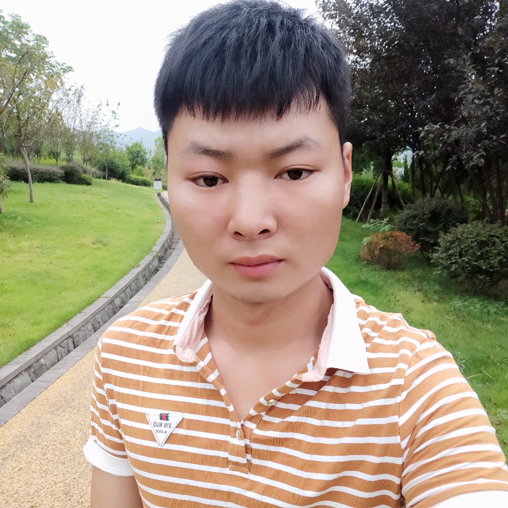 小蜜蜂那幽默的照片