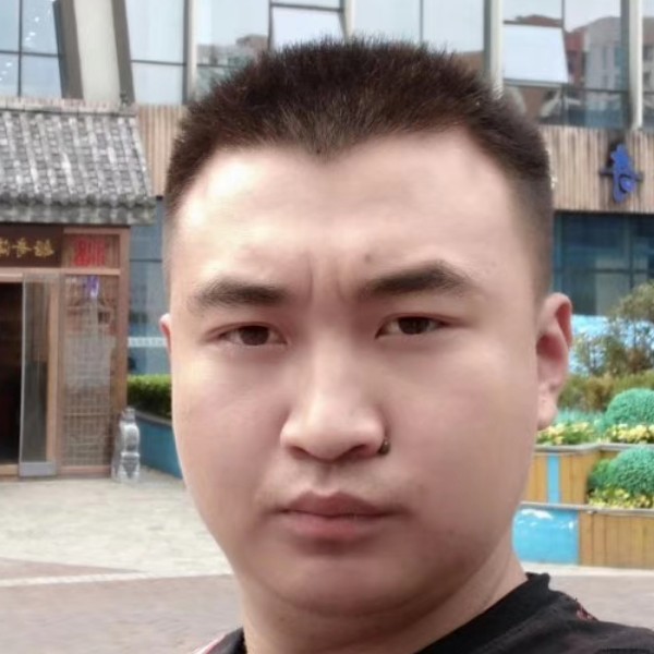 金毛和勤奋的照片