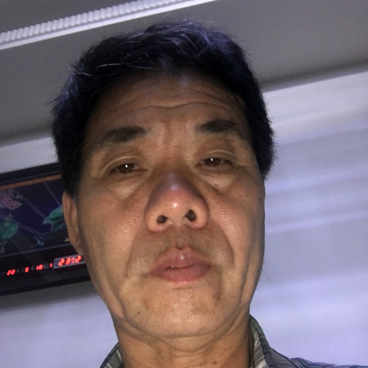 太阳深拥笨笨的照片