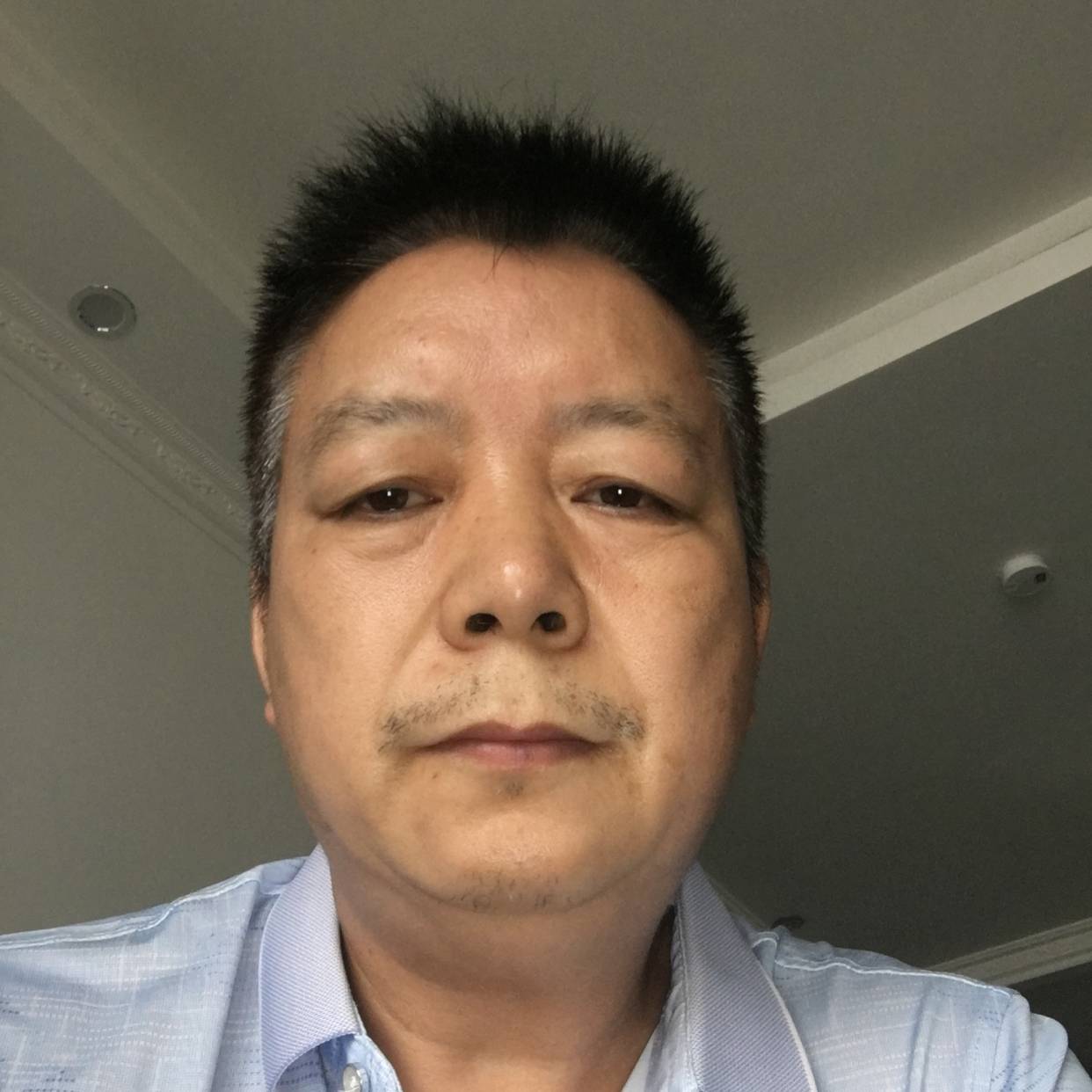 追寻打小兔子的照片