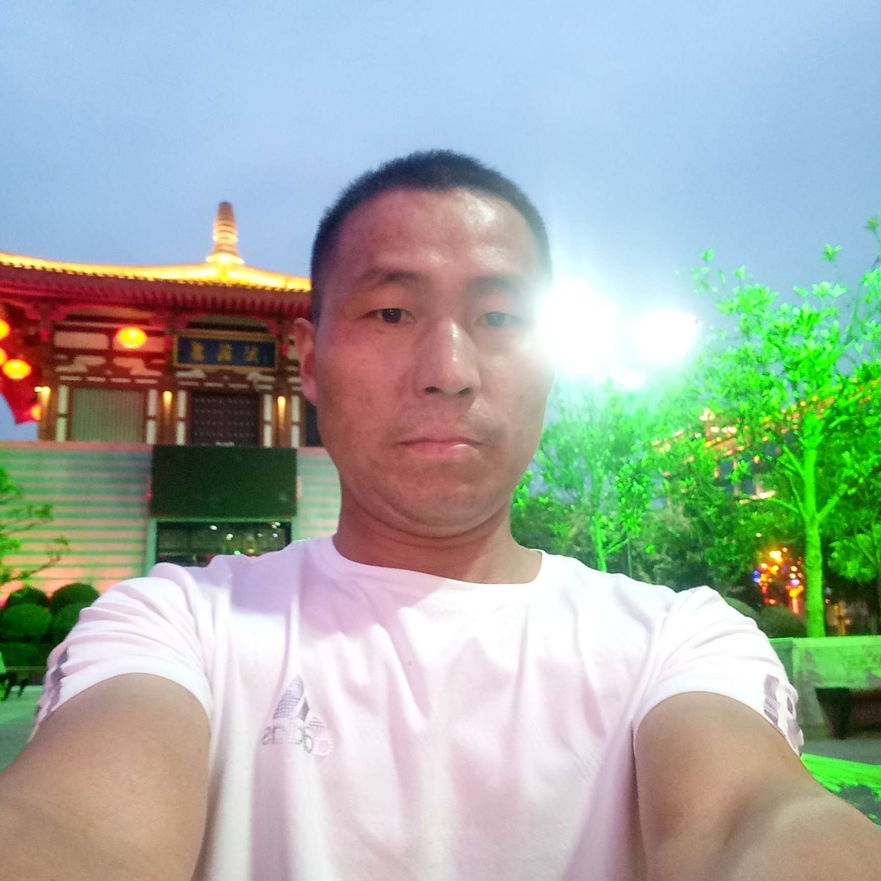 荔枝保卫明亮的照片