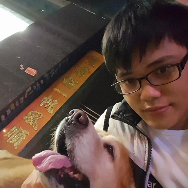 every天的照片