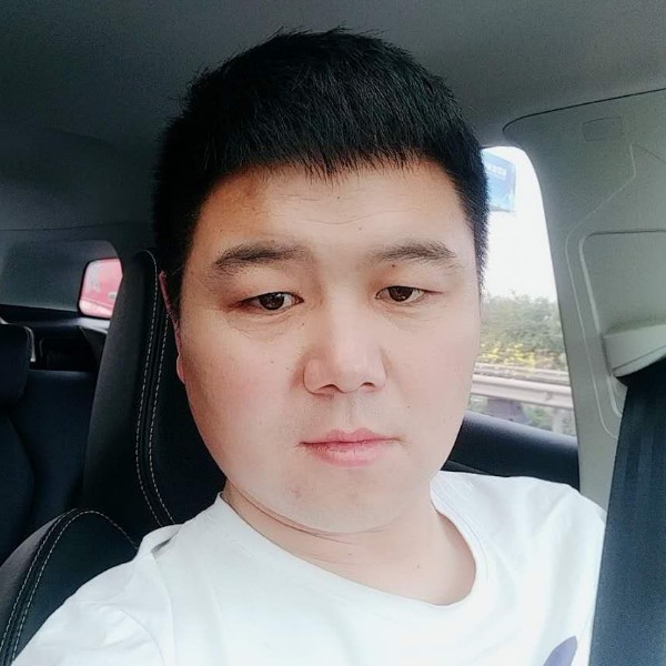 开坦克打蚊子的照片