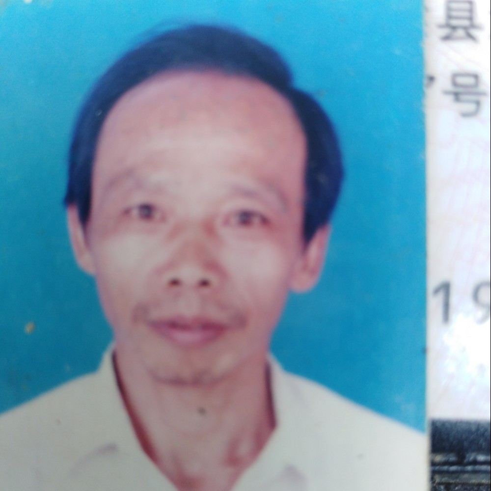 大树开放的照片