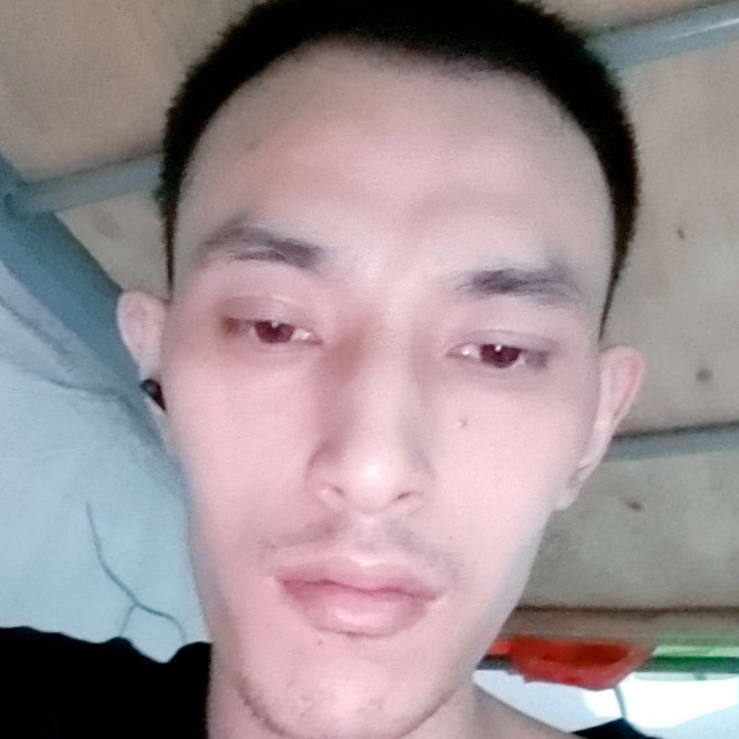 狗和典雅的照片