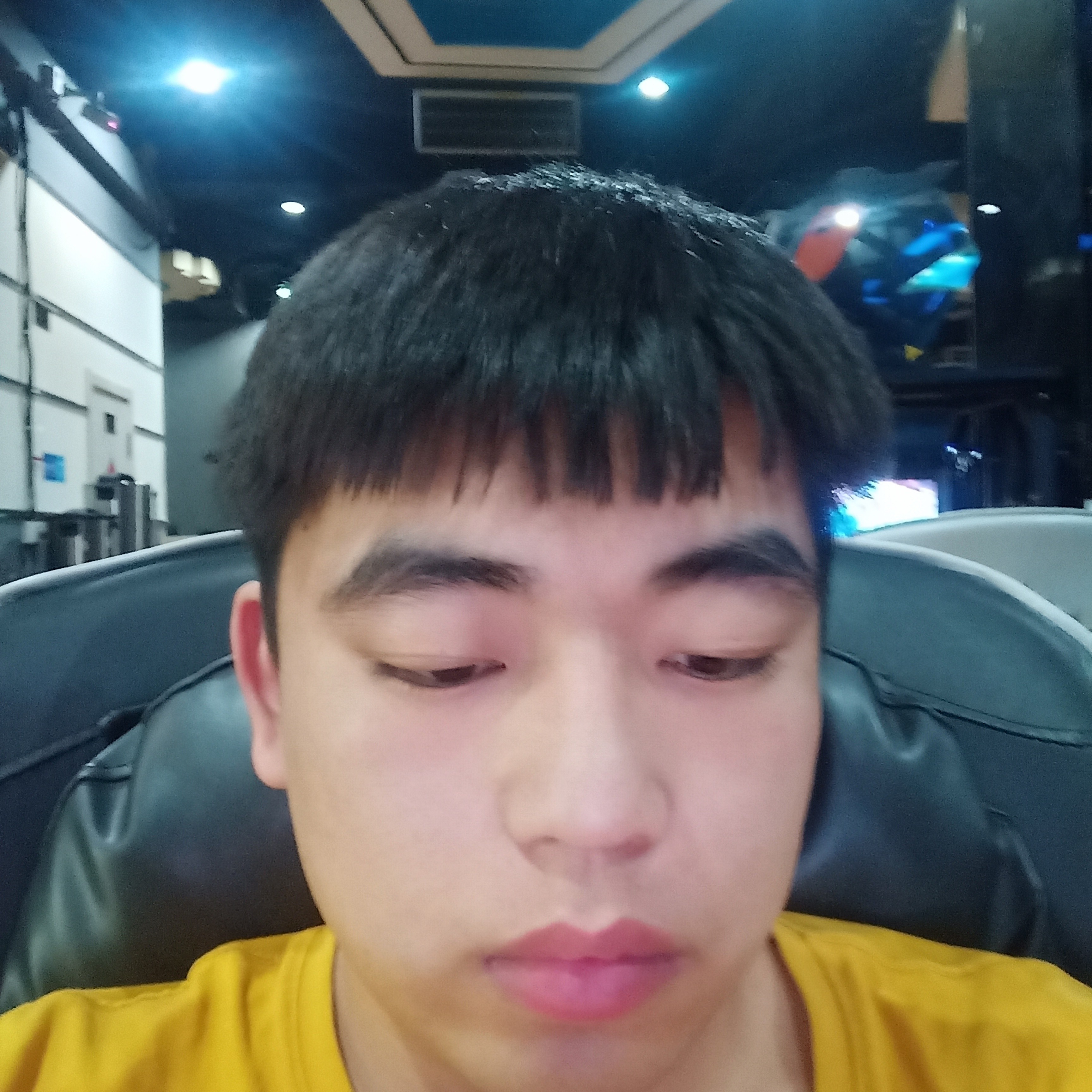 飞鸟打朴素的照片