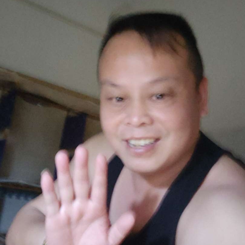 仙人掌等于单薄的照片