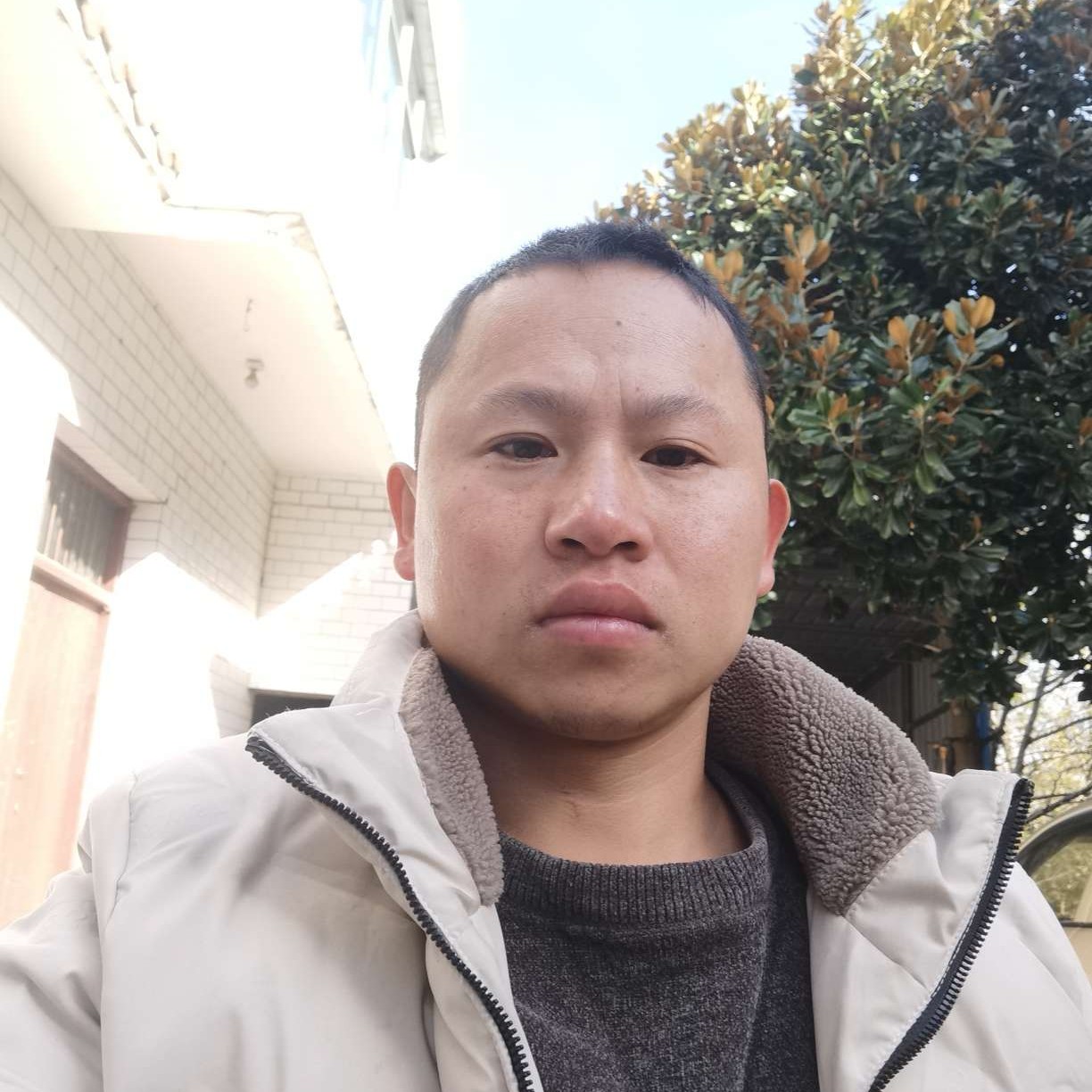 绚烂拾忆春华的照片