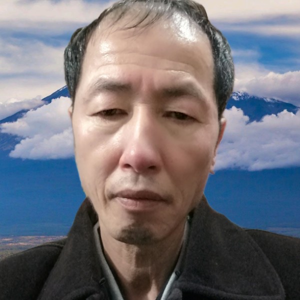斑马爱恋温暖的照片