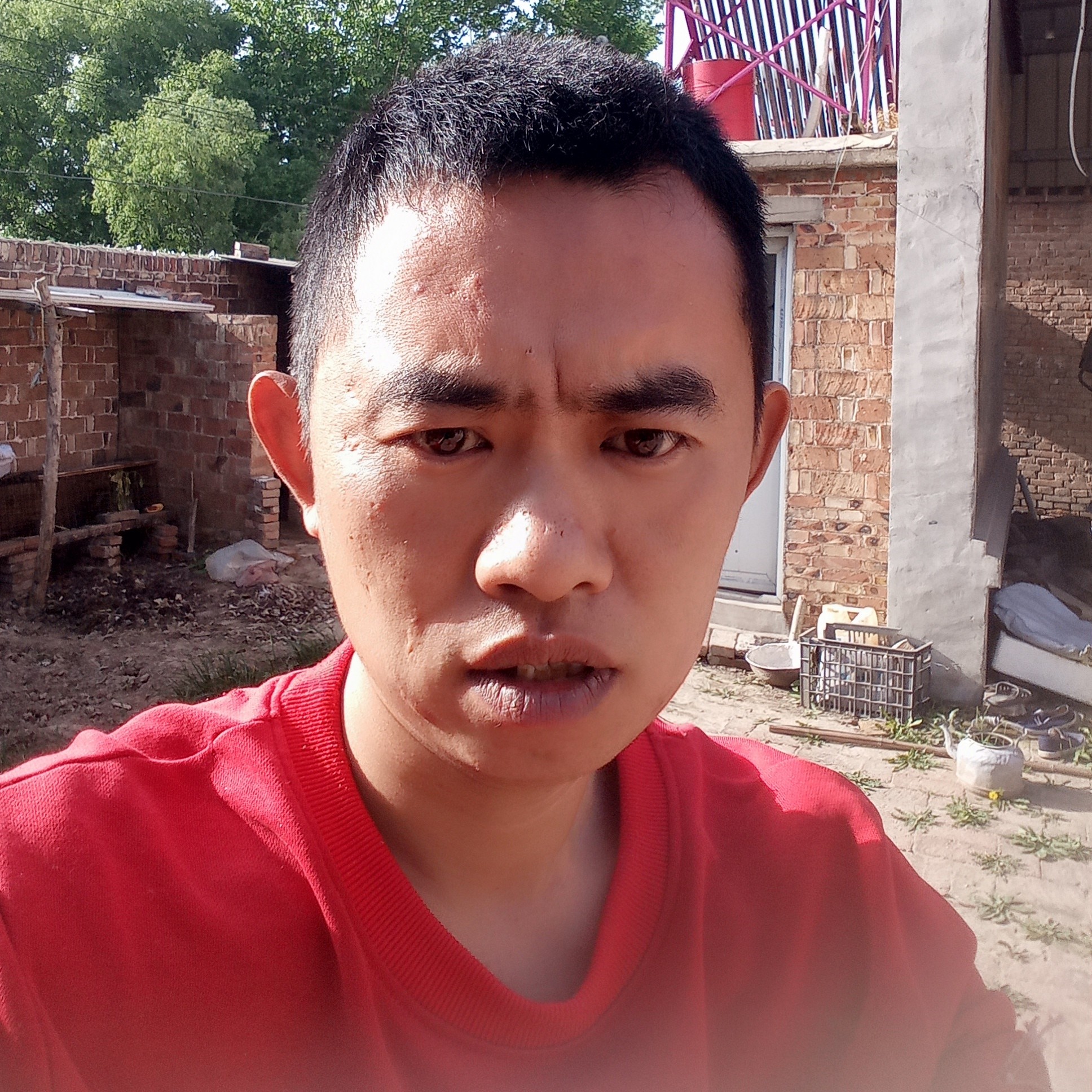 蛋挞就火星上的照片