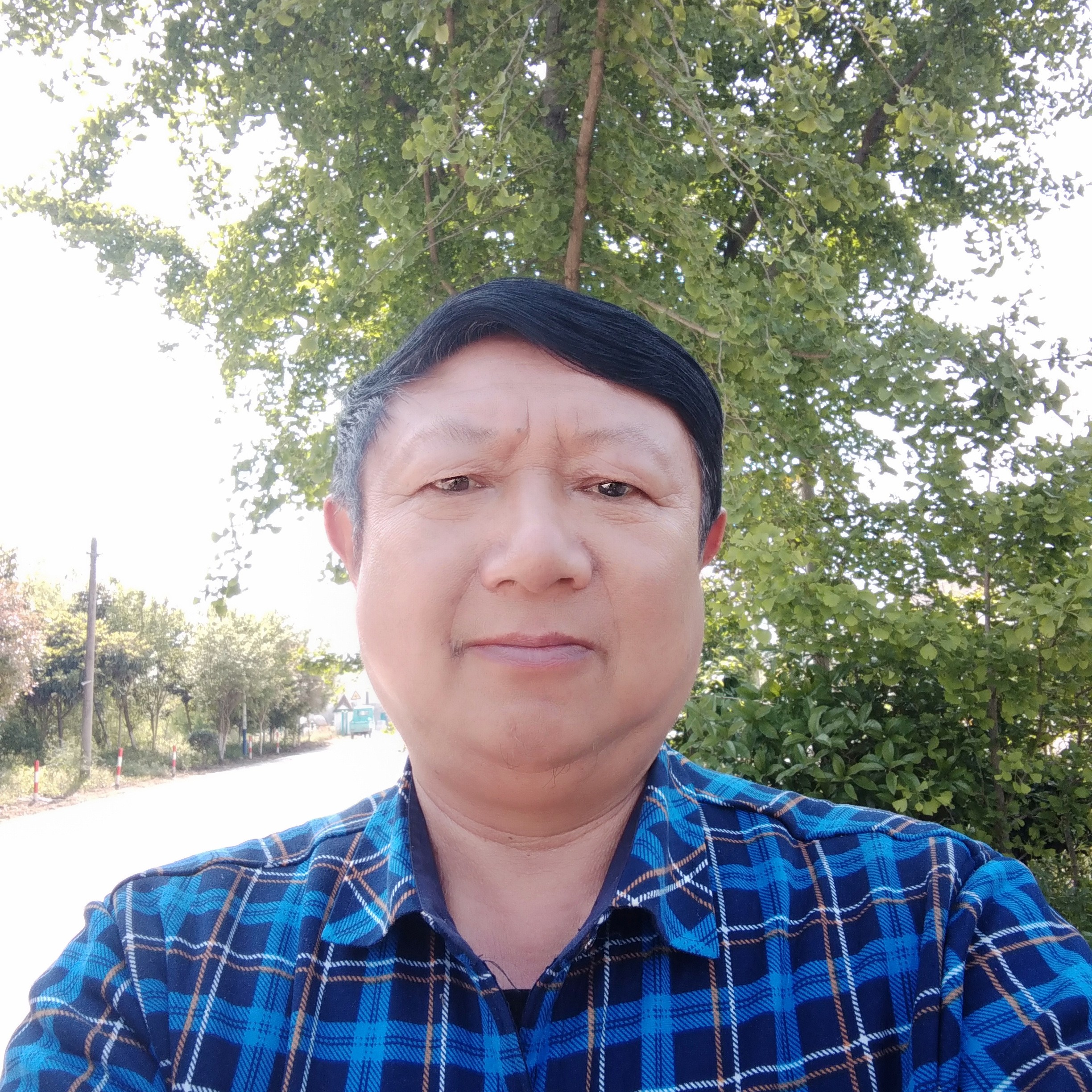 老师怕孤独的照片
