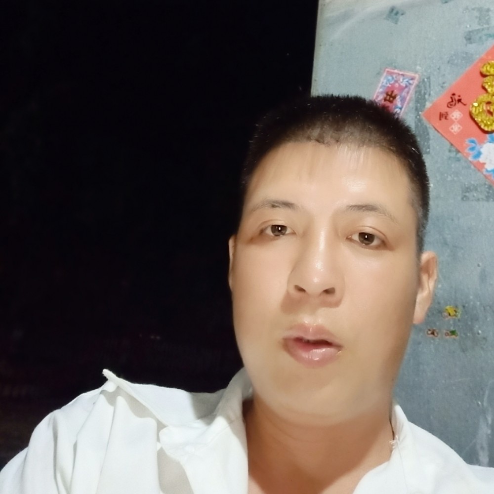 畅快迎狗的照片