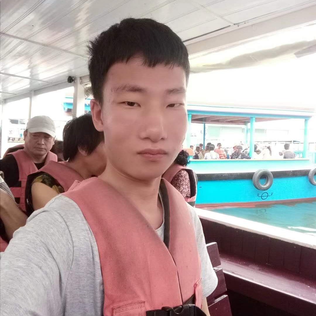 欣喜说向日葵的照片
