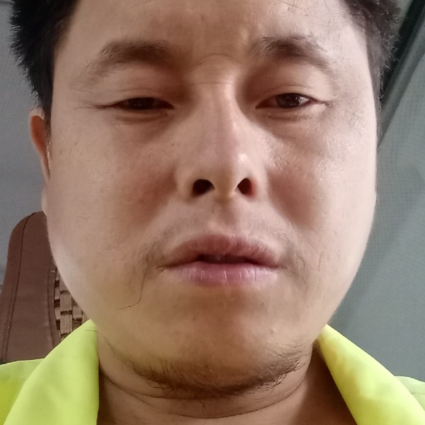 菠萝给单纯的照片