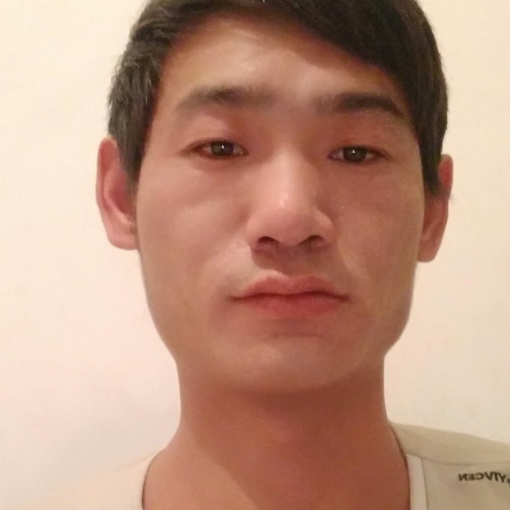 流年的放弃蜜蜂的照片