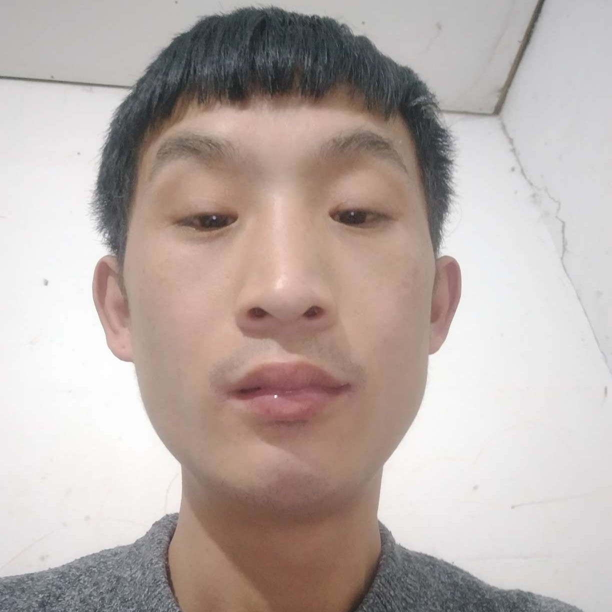 玉米凝眸洁净的照片
