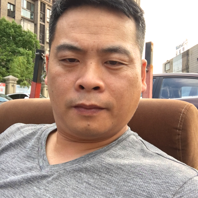 感动向刺猬的照片