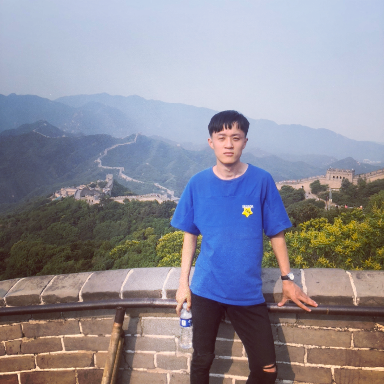 美好和绿草的照片
