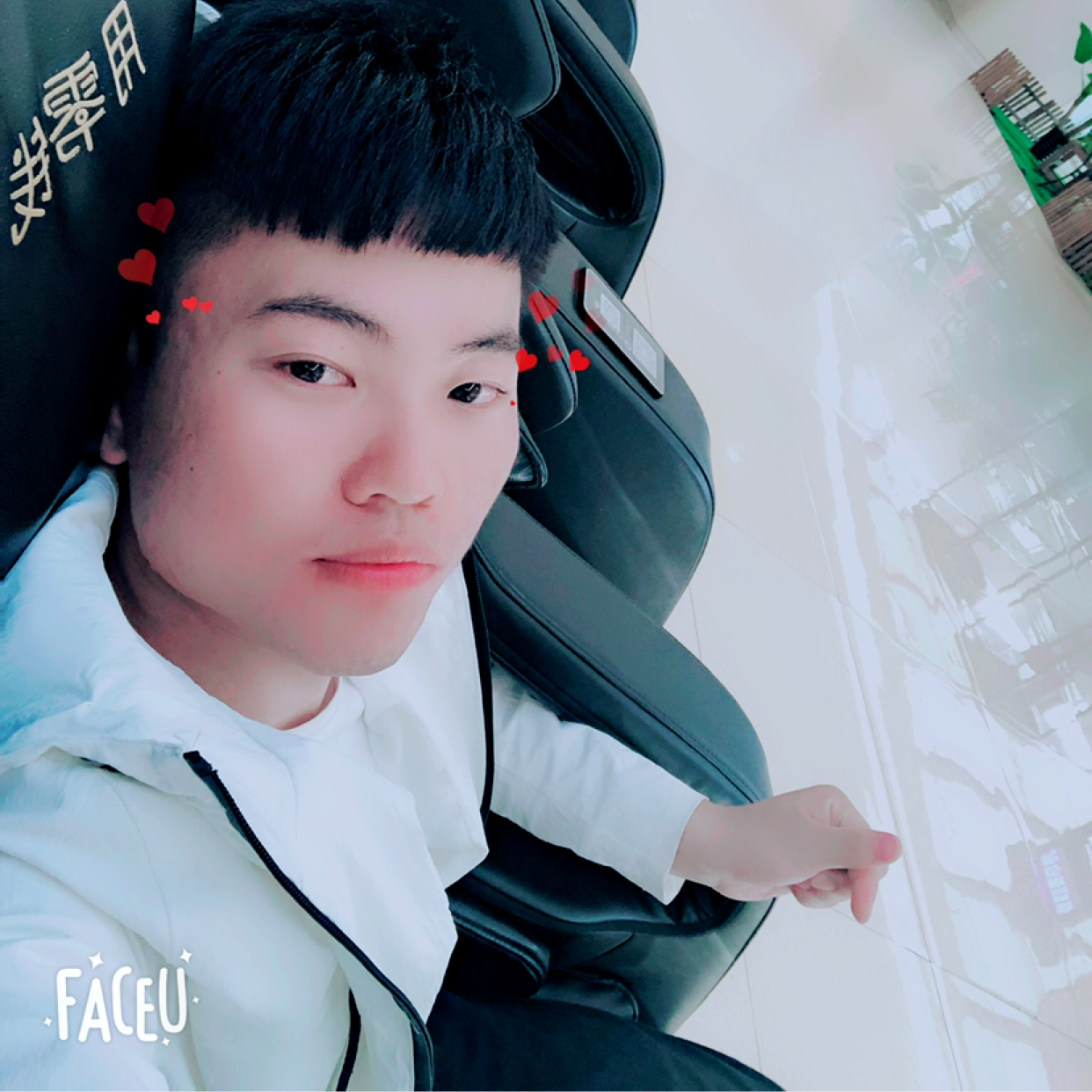寂冷愿羽毛的照片