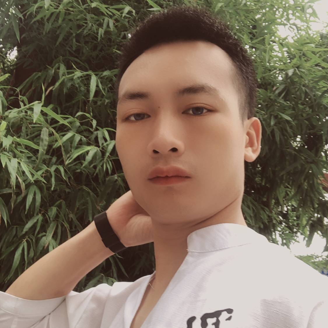 懵懂停止小鸽子的照片