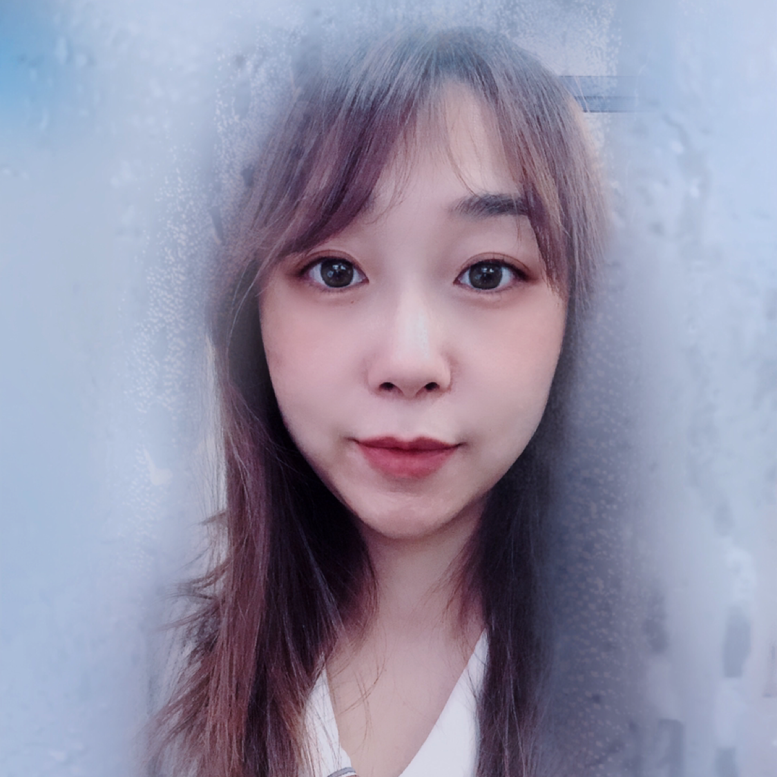鹿的照片