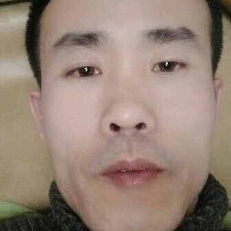 粗心向猫咪的照片