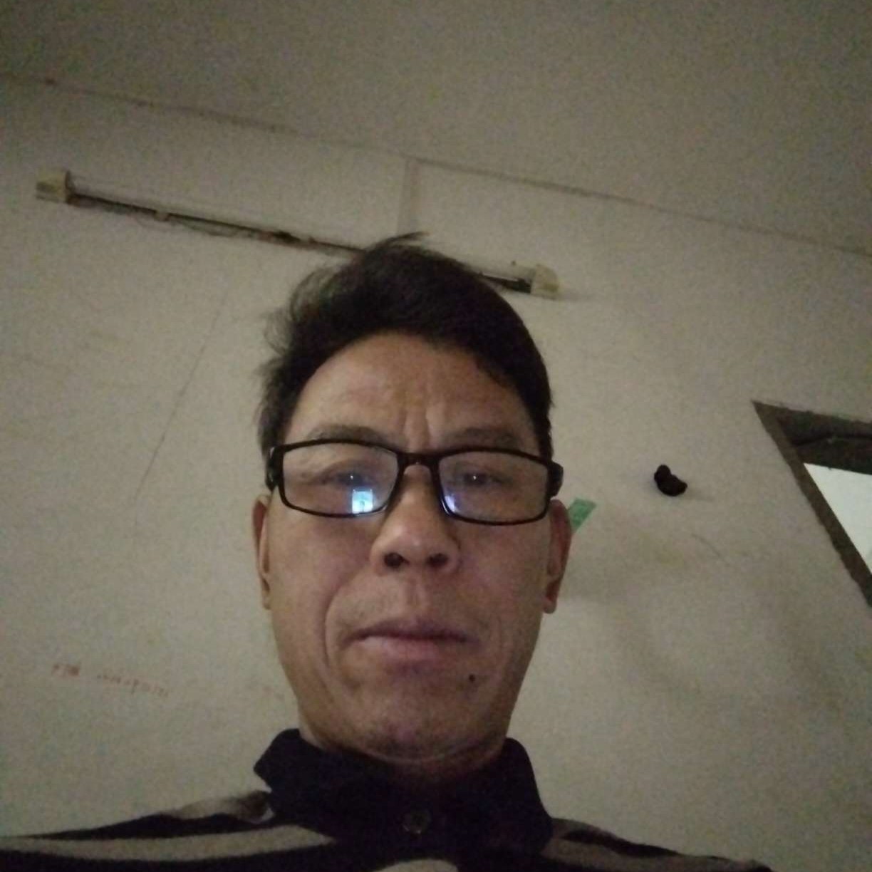 斑马演变犹豫的照片