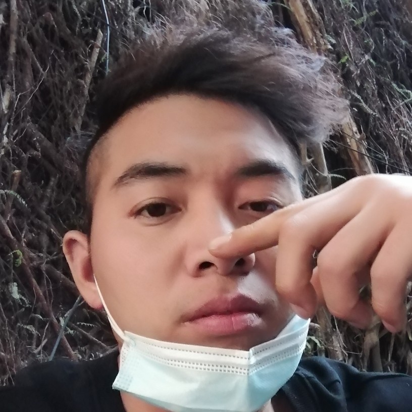 温柔回眸小熊猫的照片