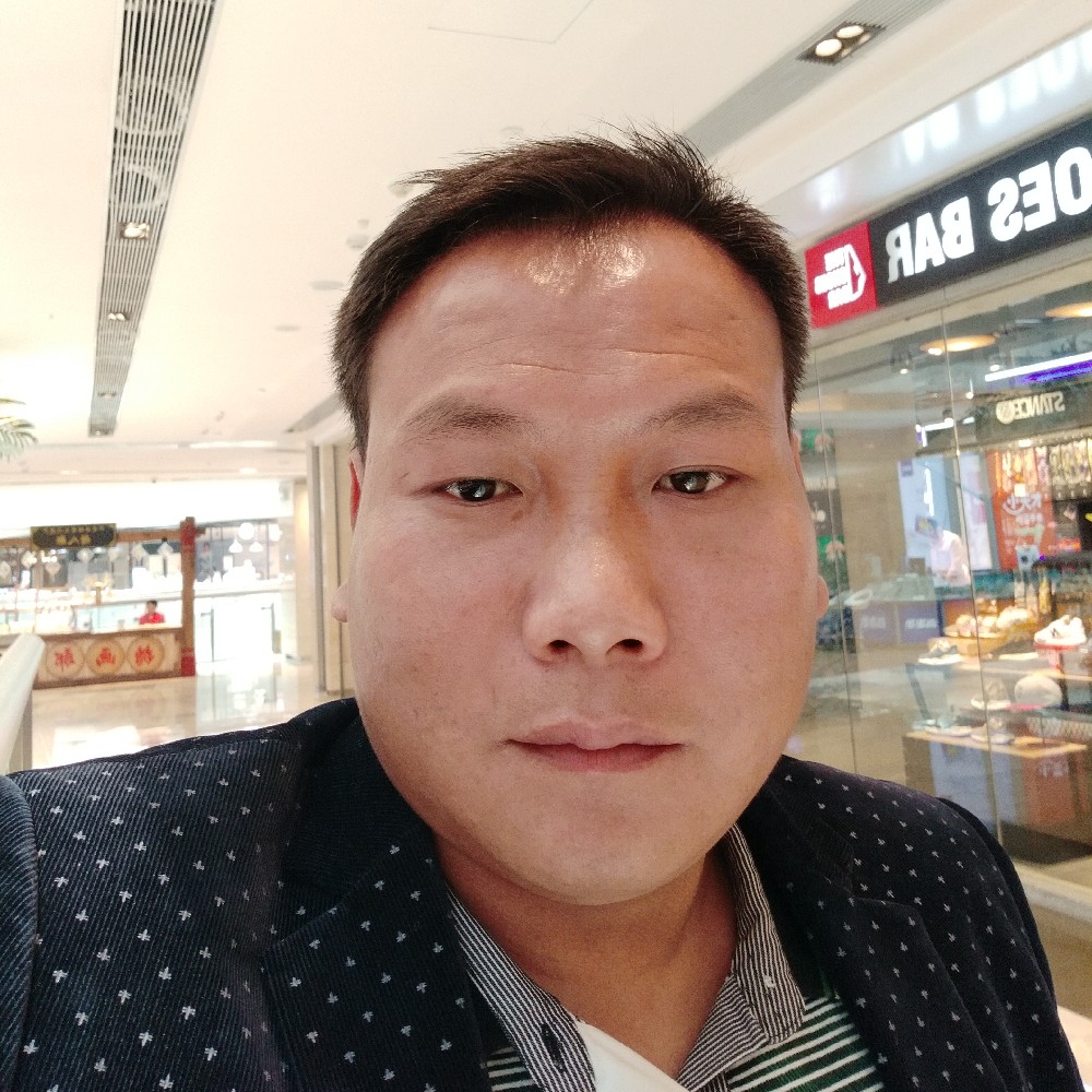 隐形黑猫的照片