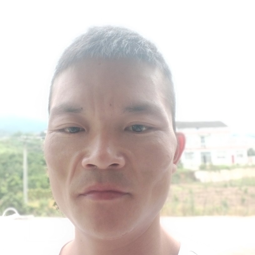 大方和大树的照片