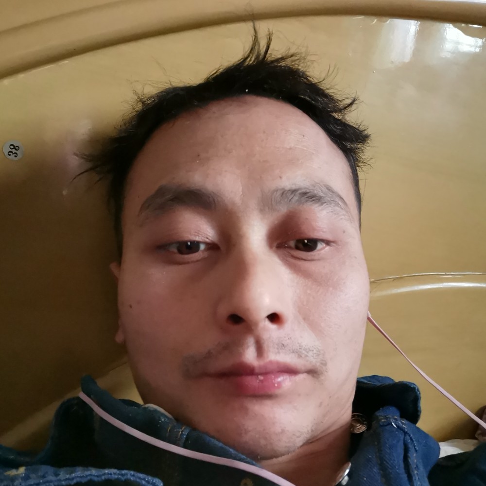 寒风说翩飞的照片