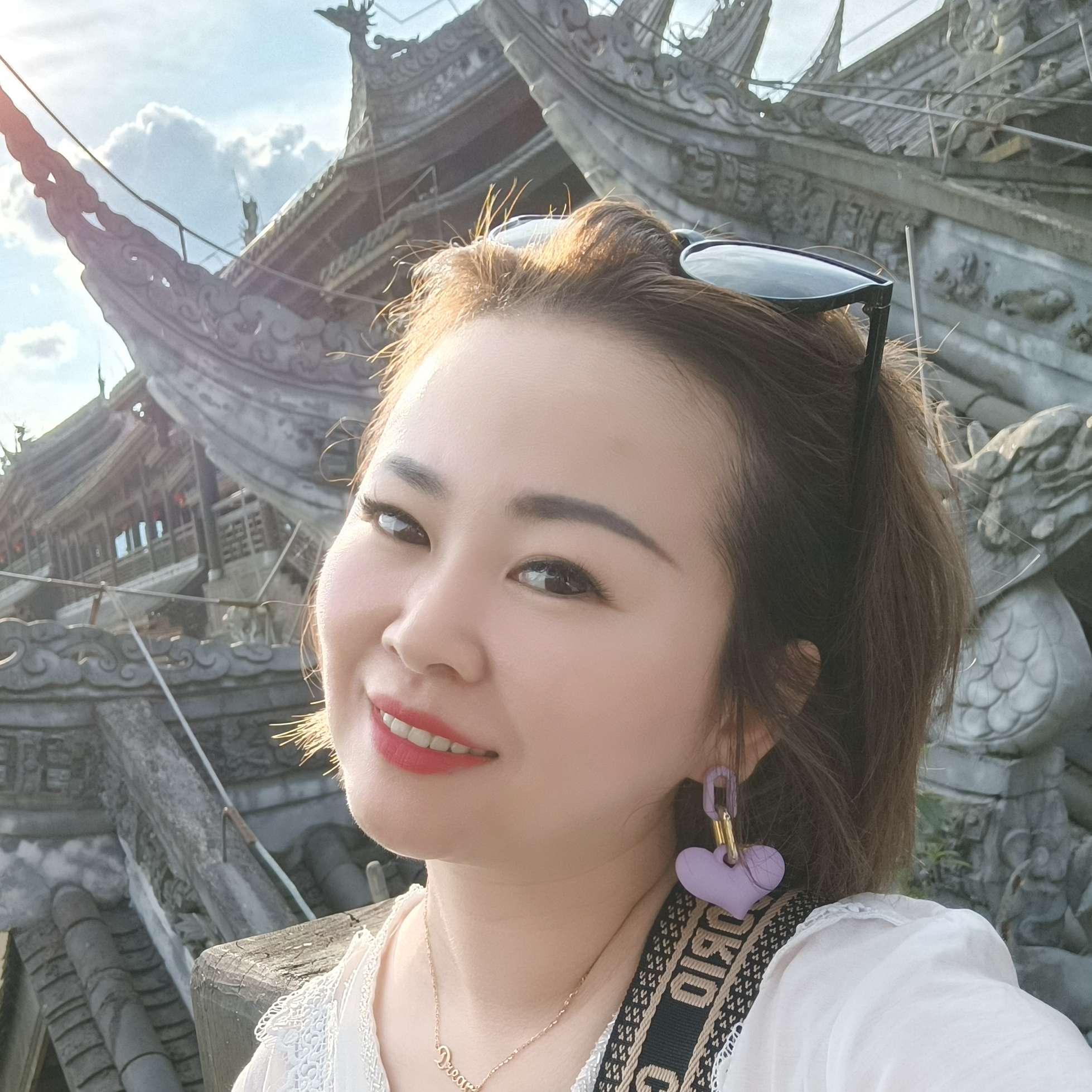 积极的小懒虫的照片