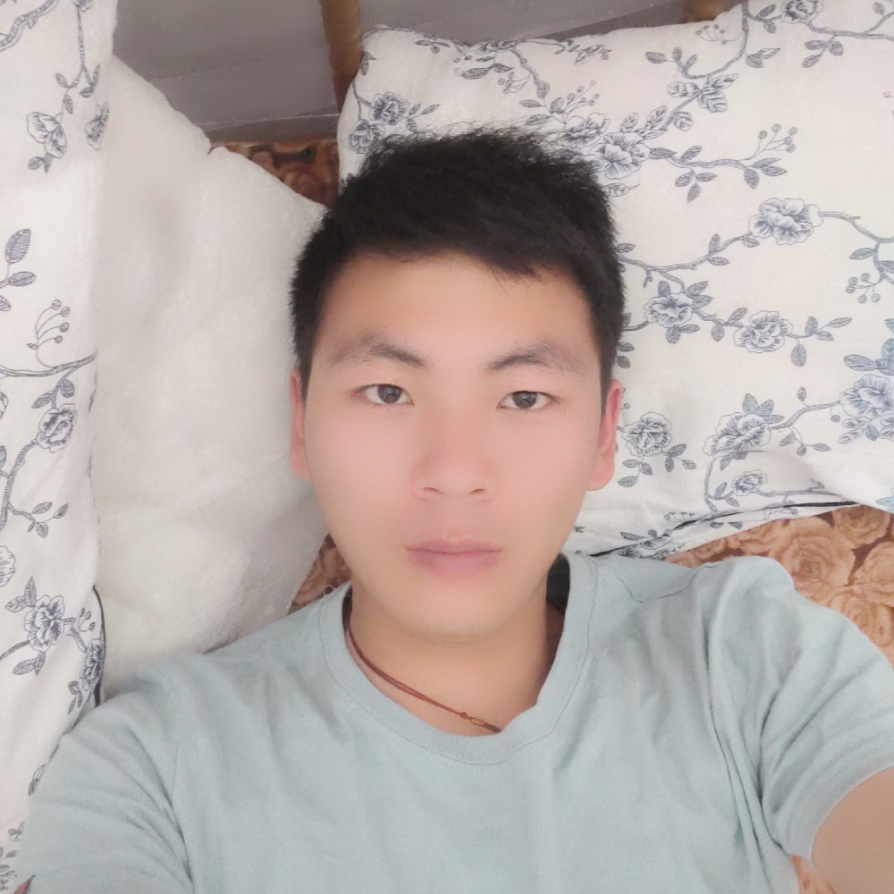 单纯等待玫瑰的照片
