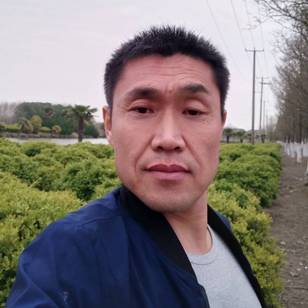 阳光1298的照片
