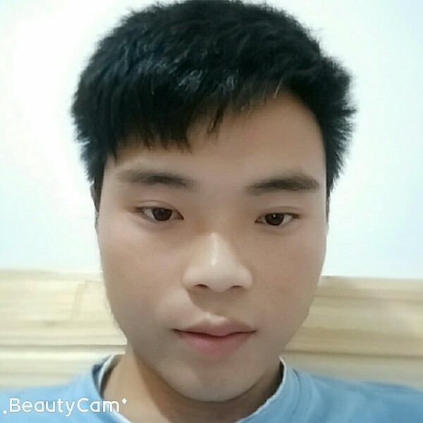 红玫瑰轻松的照片