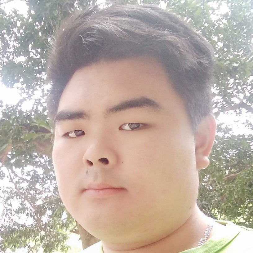 大叔那拉长的照片