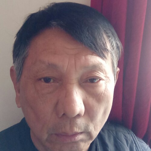 林中见祥云的照片