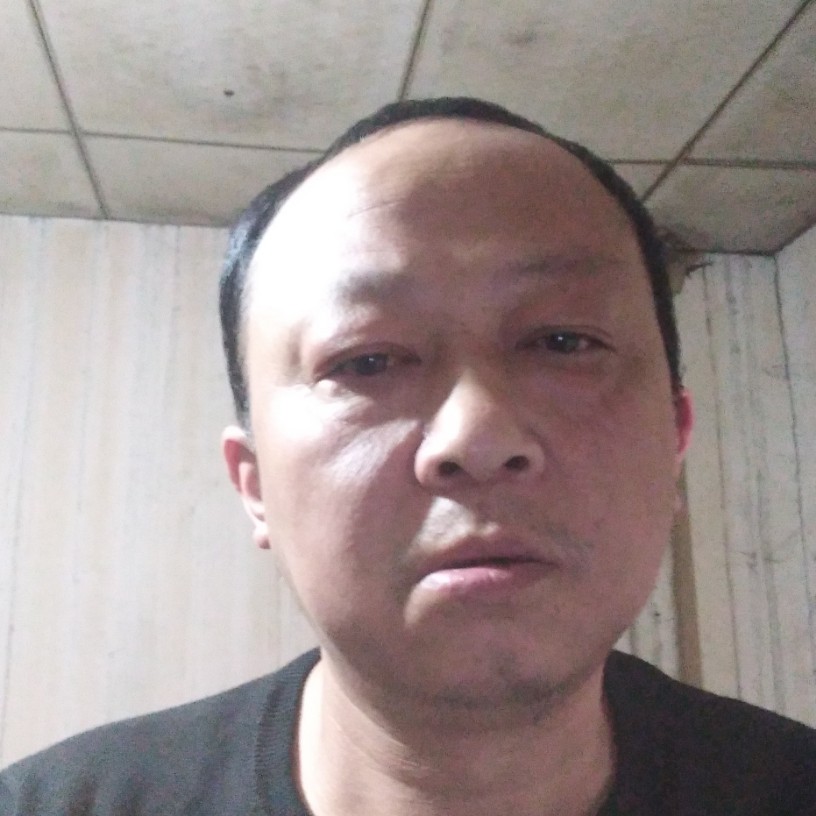 曾经爱恋小海豚的照片