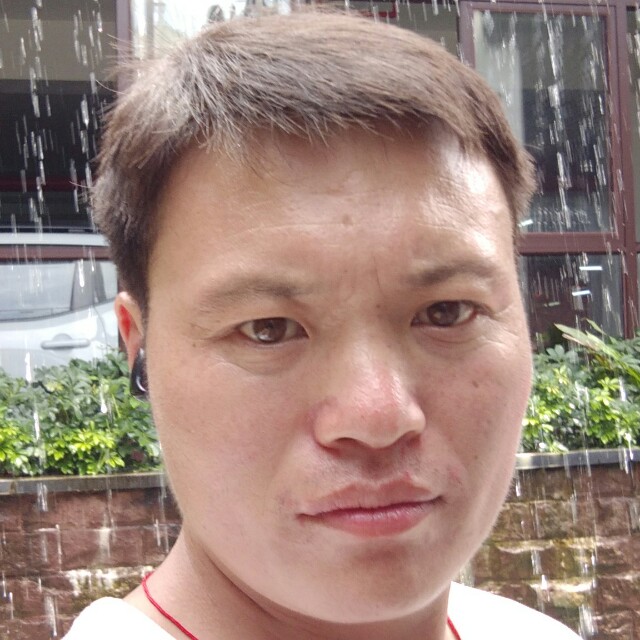 不恋花的蝴蝶的照片