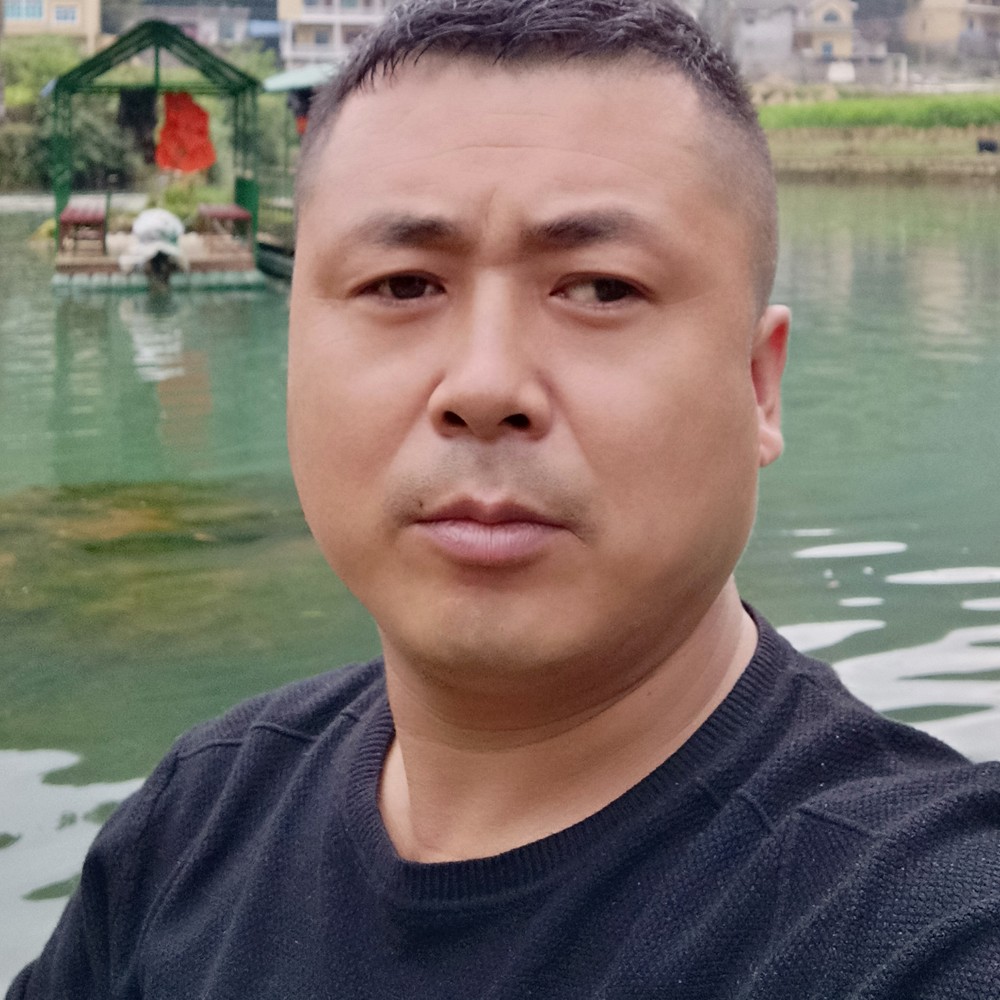 灰狼蹁跹自觉的照片