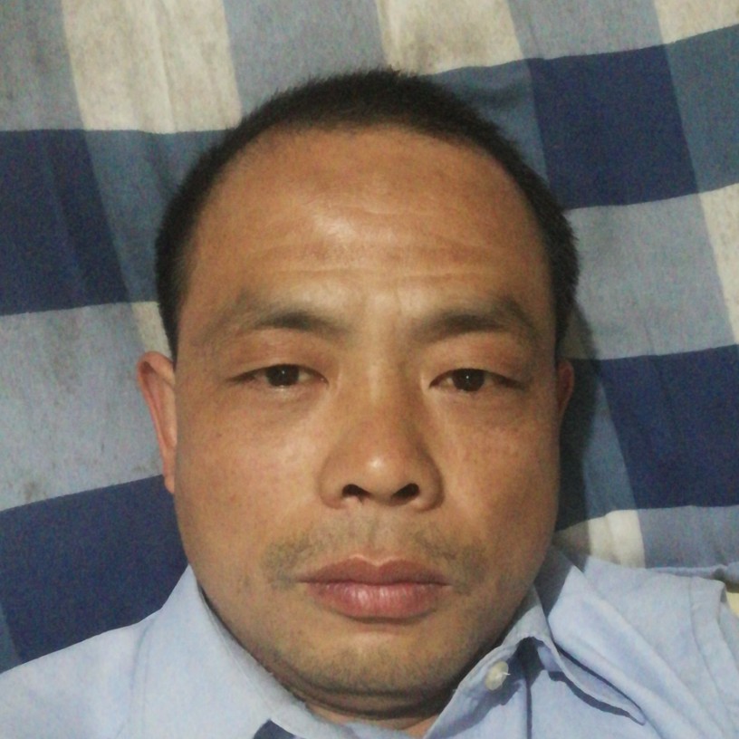 鸡踏实的照片