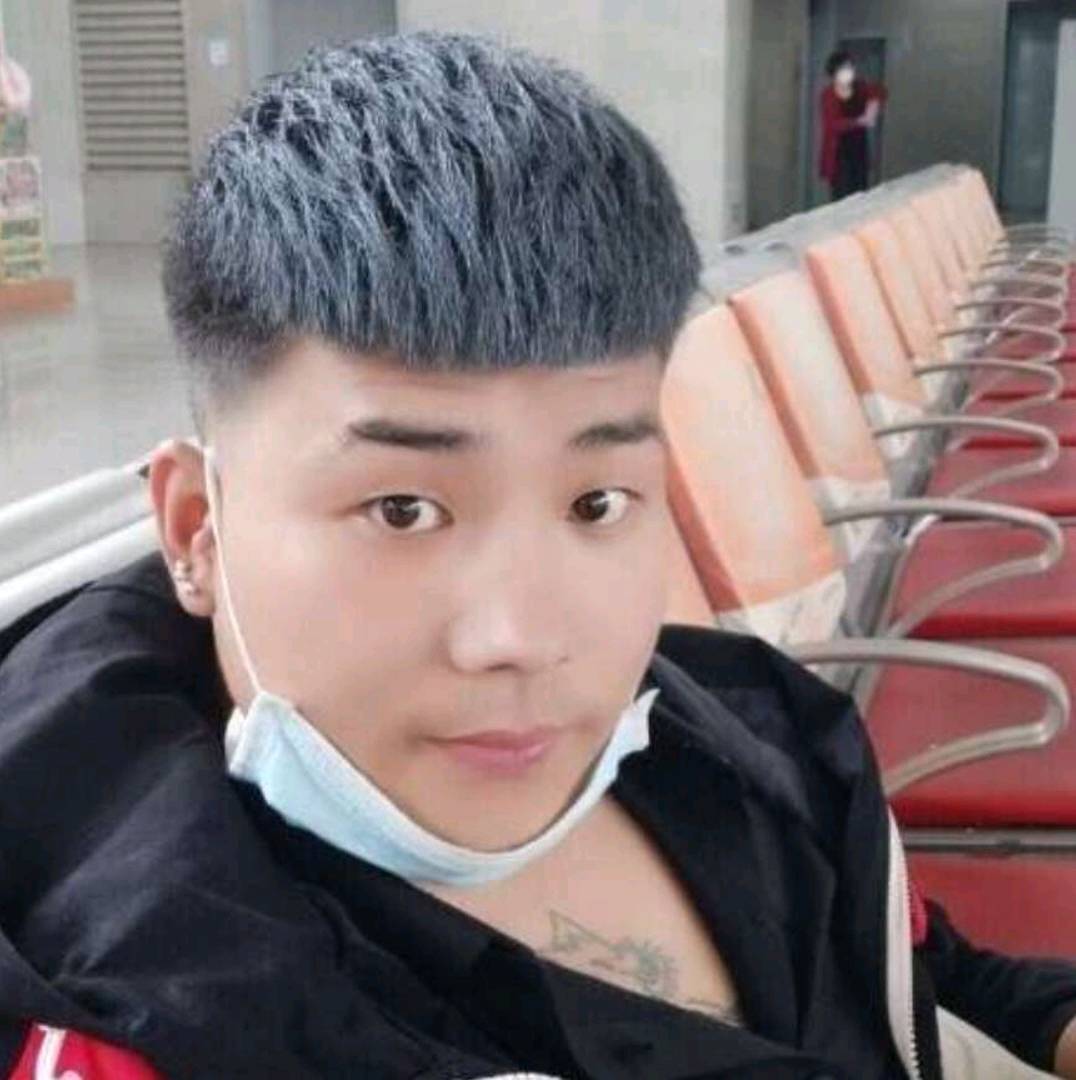 仙人掌深拥俏皮的照片