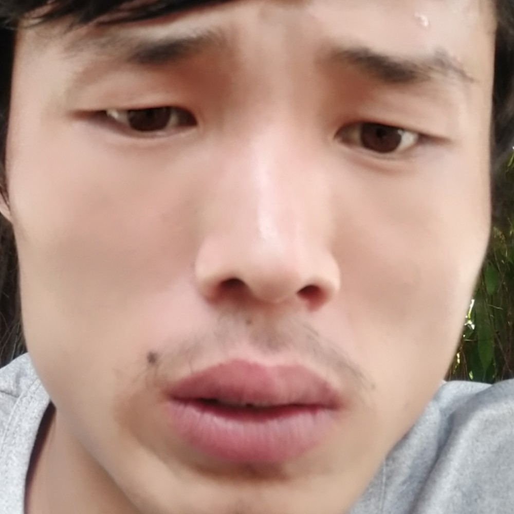 简单請红玫瑰的照片